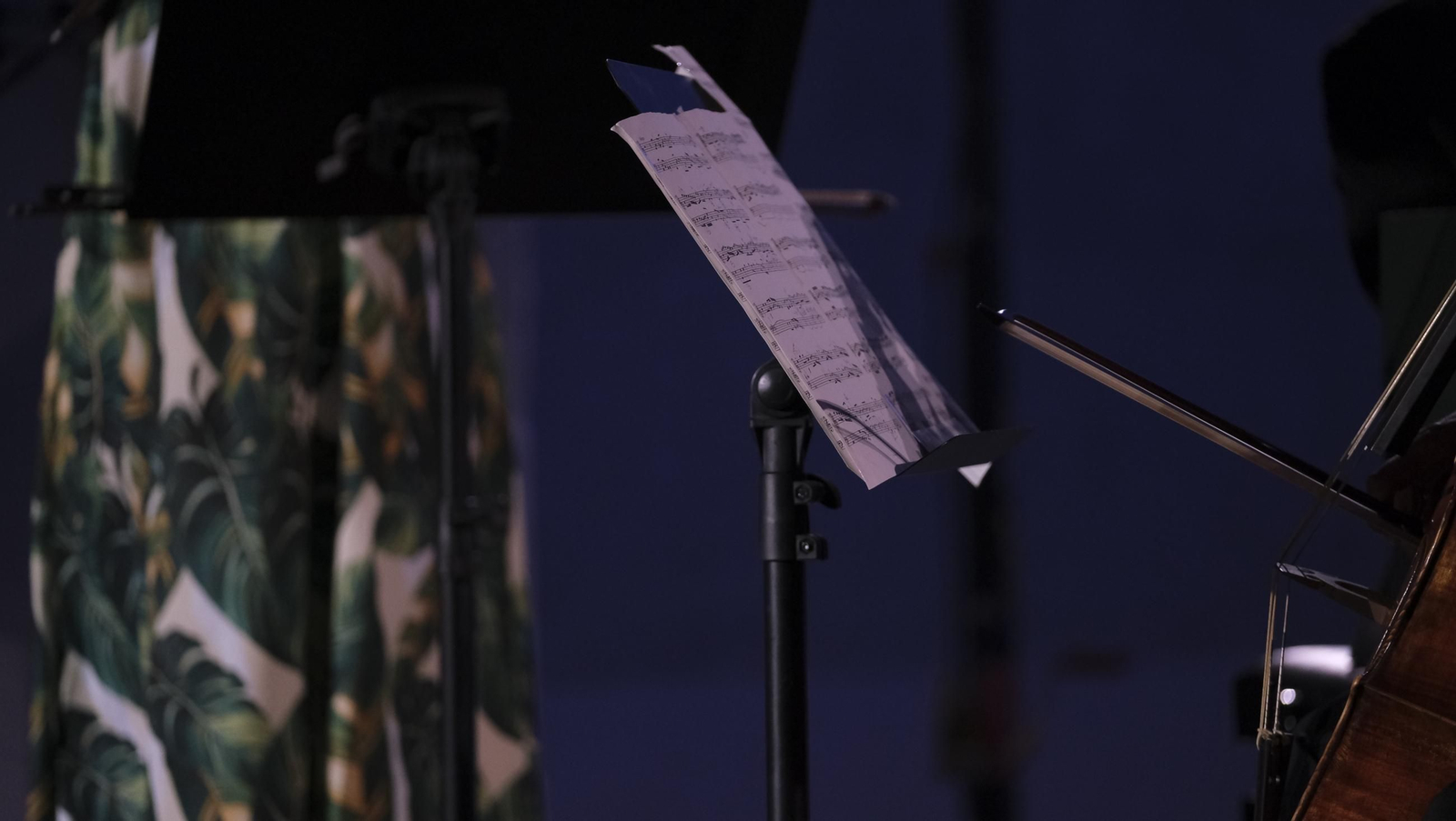 Fotos del concierto de Anna Urpina en Vélez Blanco