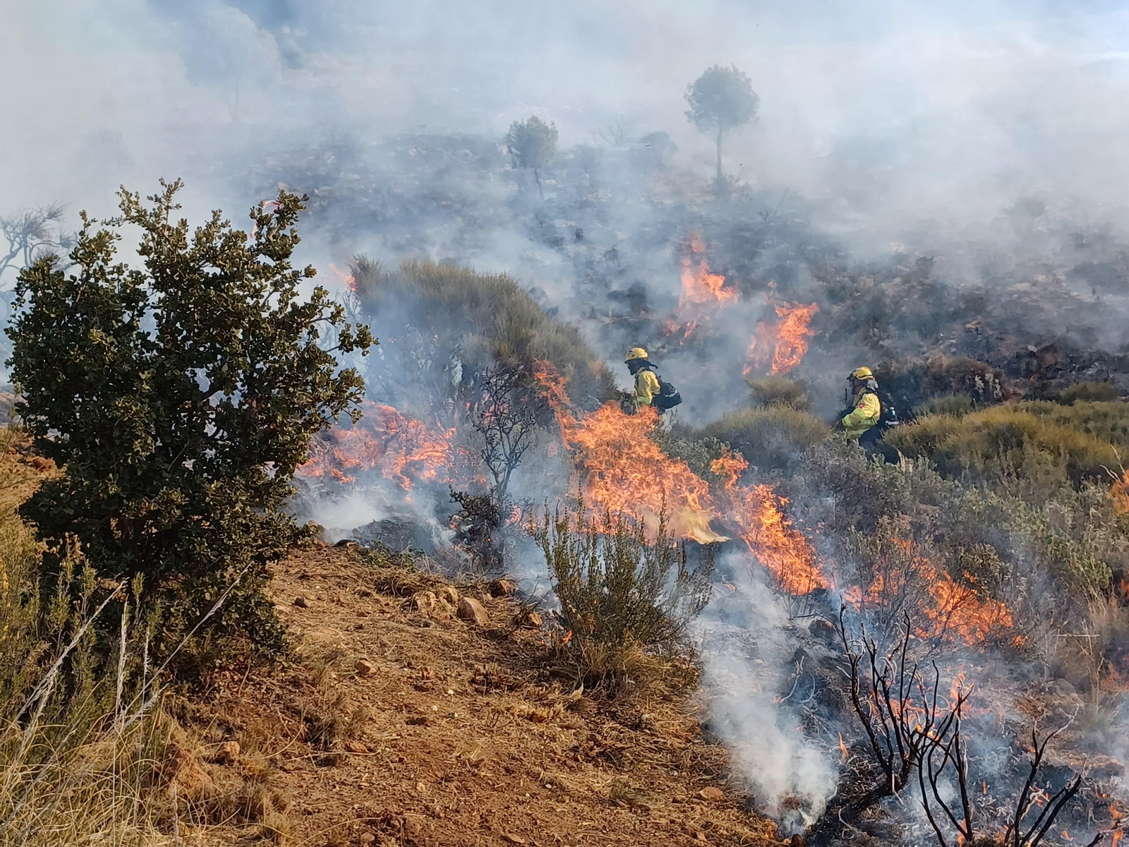 Quema prescrita del Infoca en Cortijo Clavero de Dalías