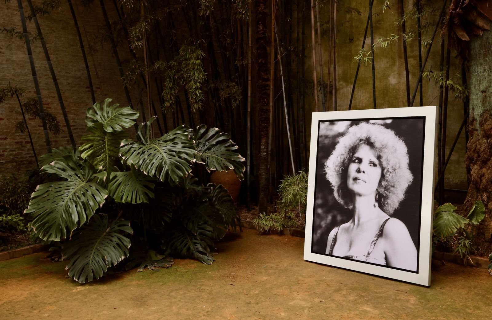 Exposición Cayetana. Grande de España