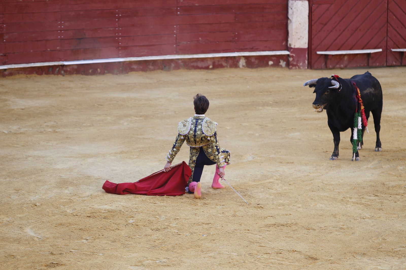 Fotogalería novillada Escuela Taurina de Almería. Feria de Almería 2019