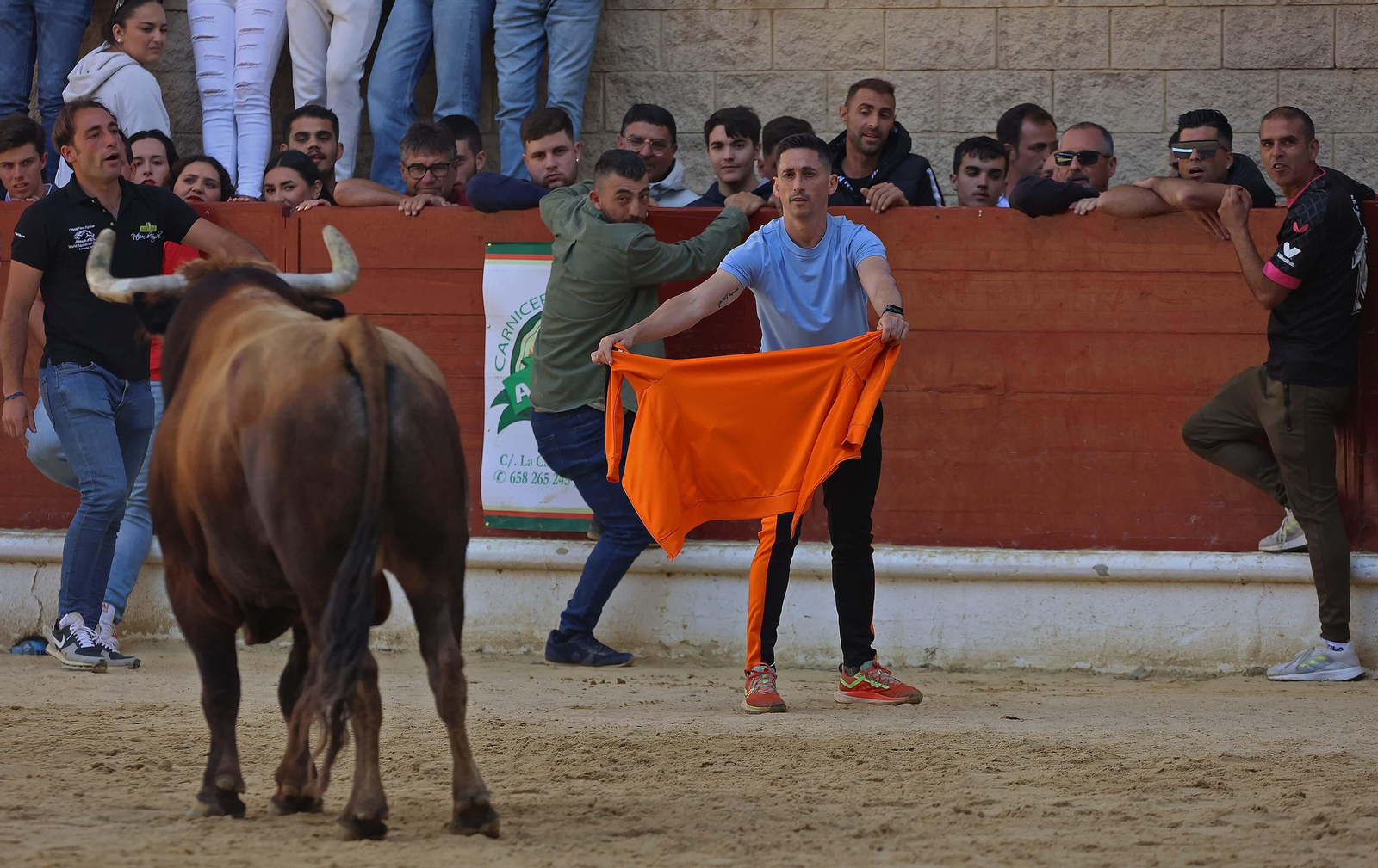 Las mejores fotos del Toro Embolao de Los Barrios 2024