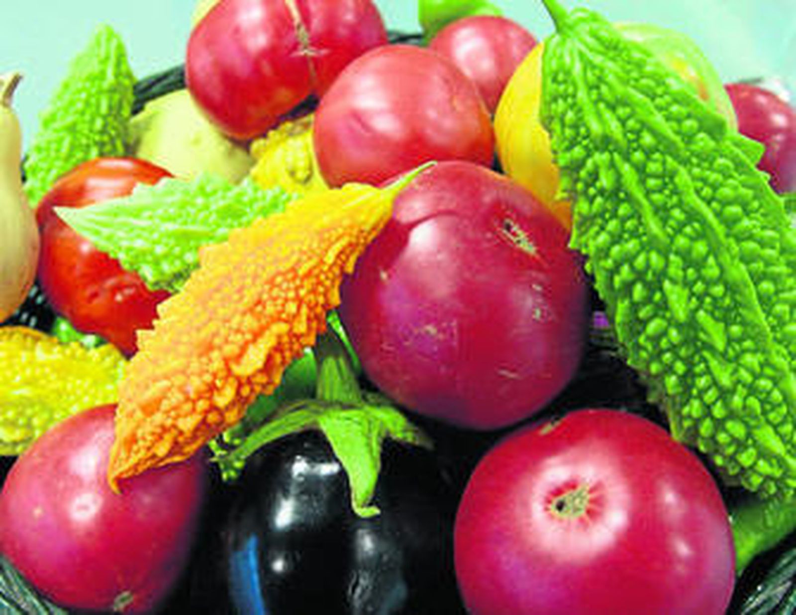 Melón amargo, tomates, berenjenas y calabazas se podrán degustar en la V Feria Hortofrutícola.