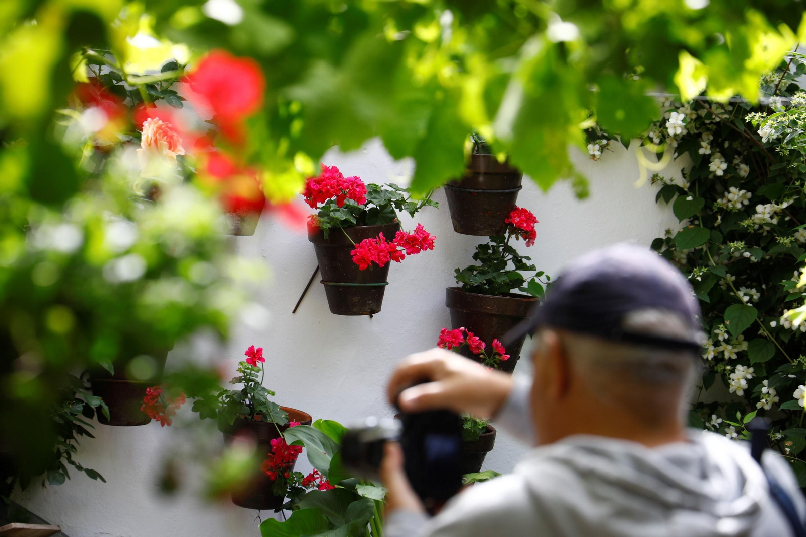 Patio de las Religiosas Jerónimas de Santa Marta y Hermandad de la Misericordia.