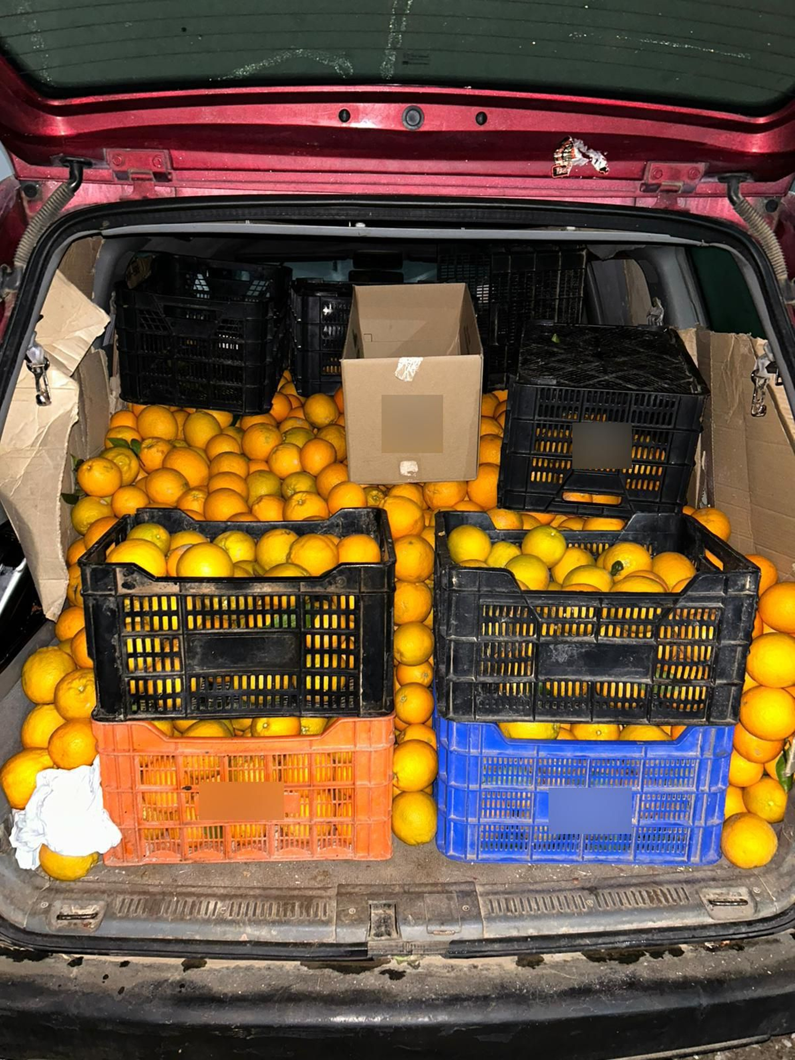 Uno de los vehículos cargados de naranjas robadas. Uno de los vehículos cargados de naranjas robadas.