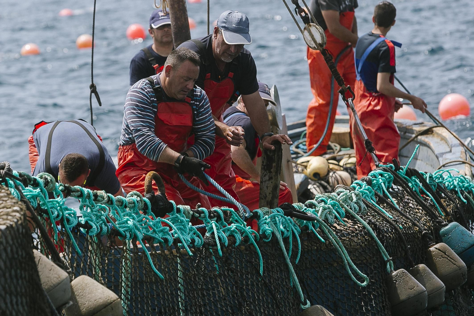 Imágenes de la primera levantá del año