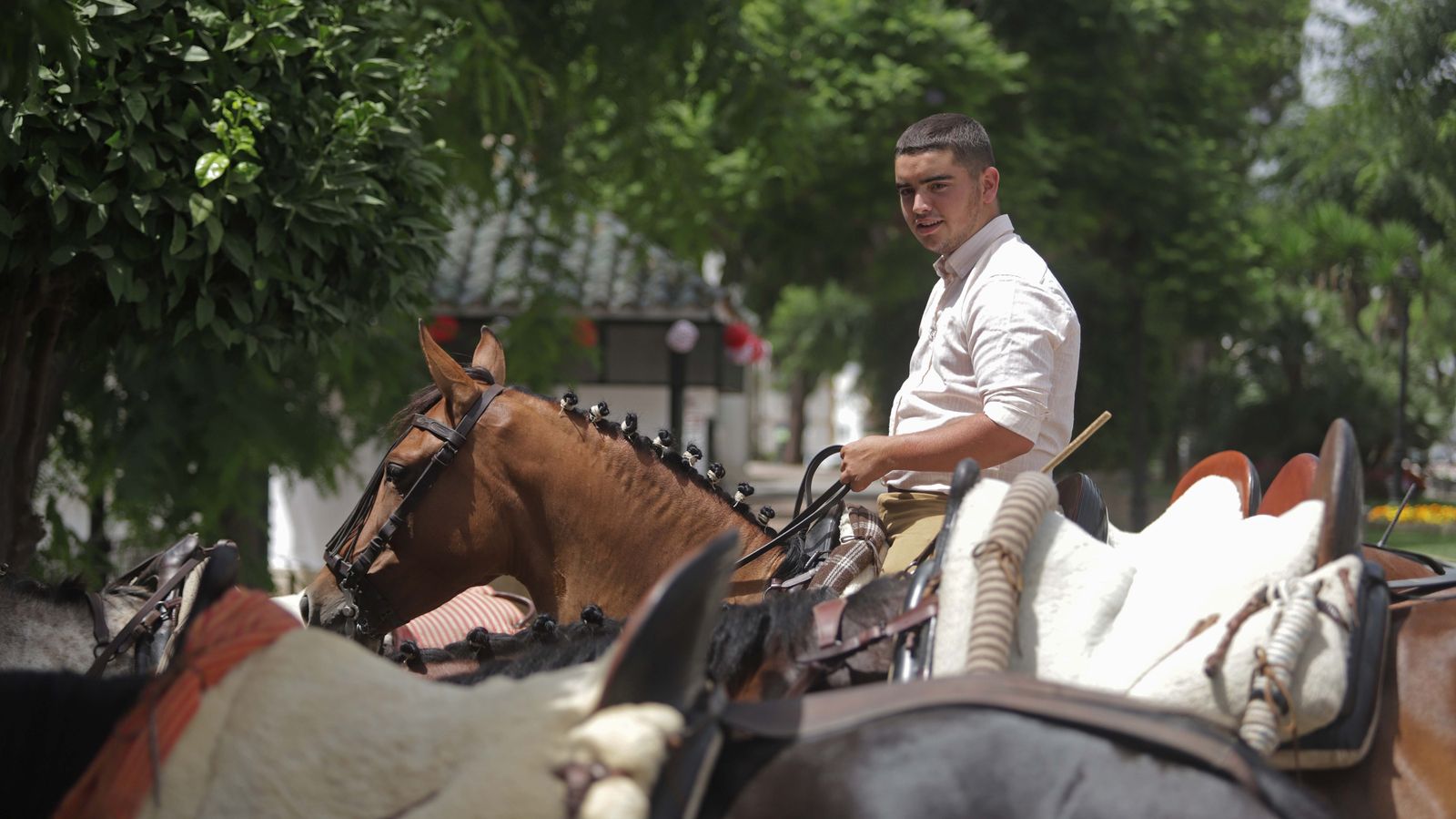 Fotos del sábado de Feria en San Roque