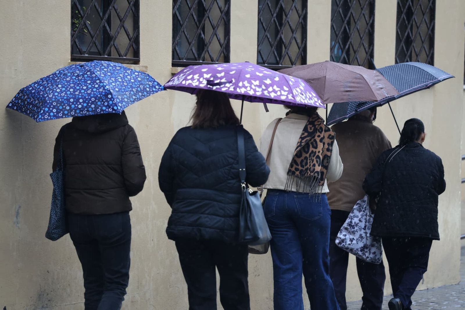 La semana da comienzo con lluvias en Málaga, que acumula más de 24 litros por metro cuadrado en Alpandeire.