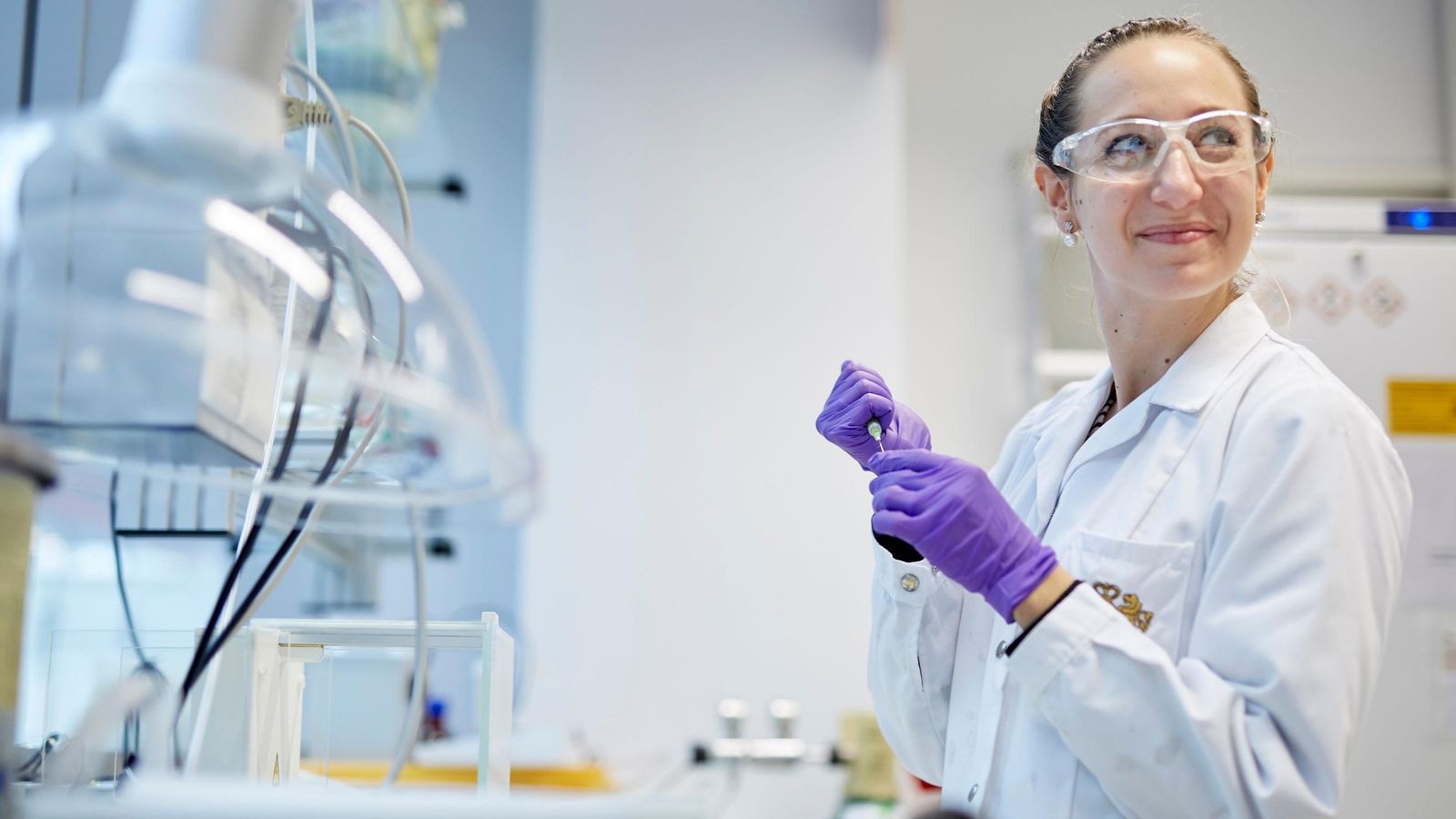 ¿Qué más sabemos de estas alternativas?