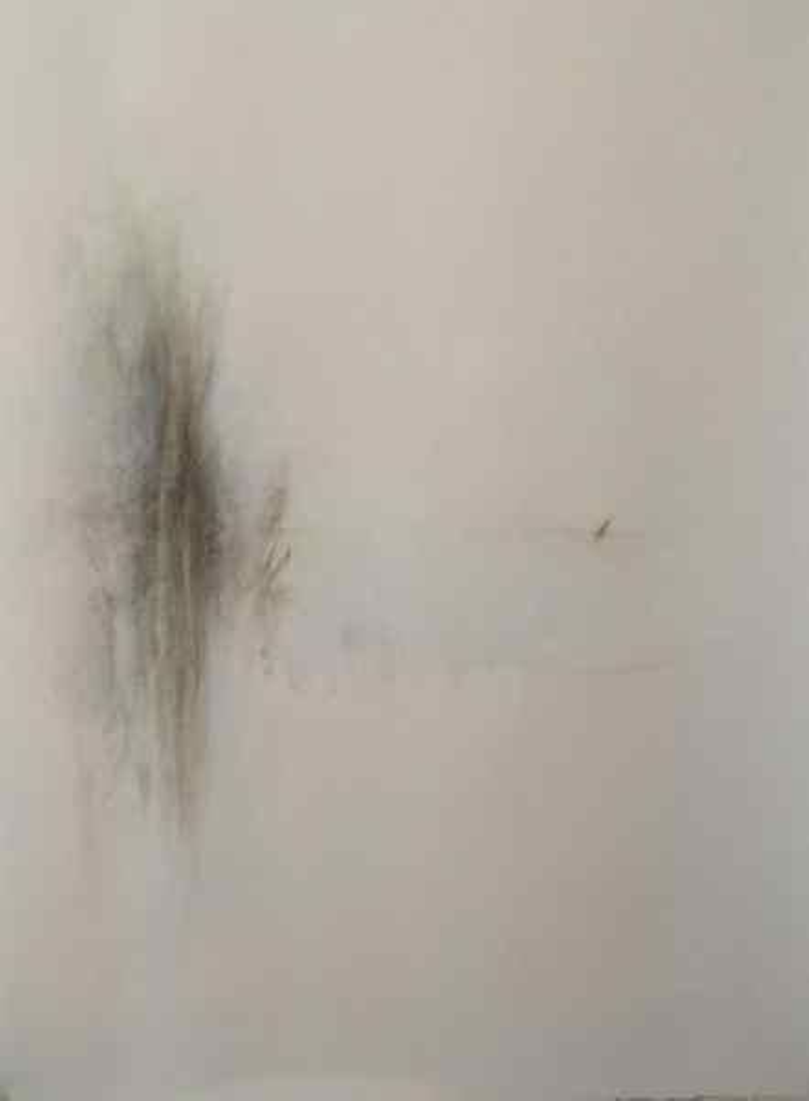 Juan Carlos Busutil en estado puro.