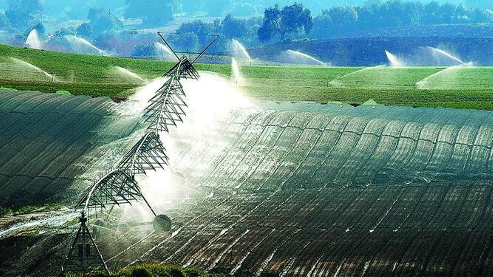 Cultivos de regadío en una explotación agrícola. Cultivos de regadío en una explotación agrícola.