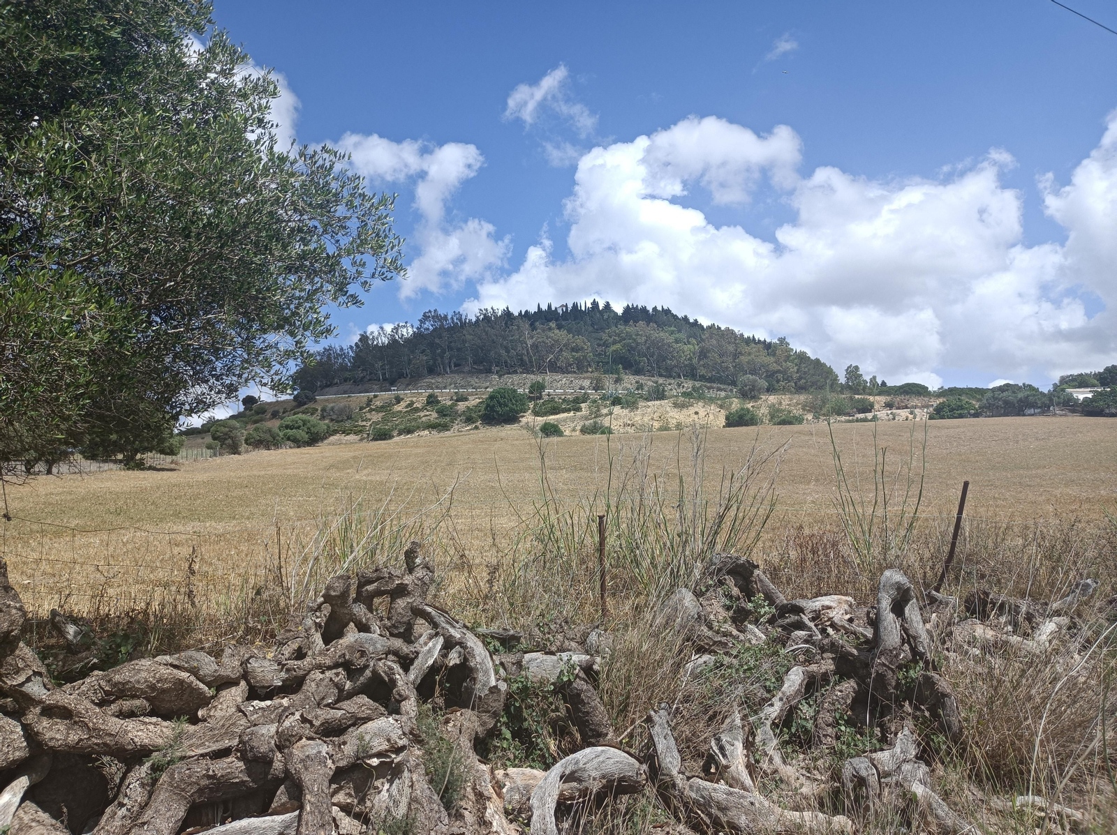 El ascenso final es el único esfuerzo de esta etapa.