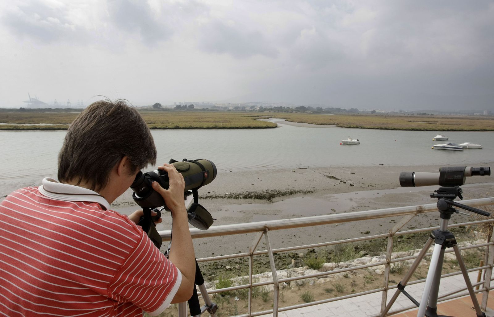 Mirador ornitológico de Palmones.