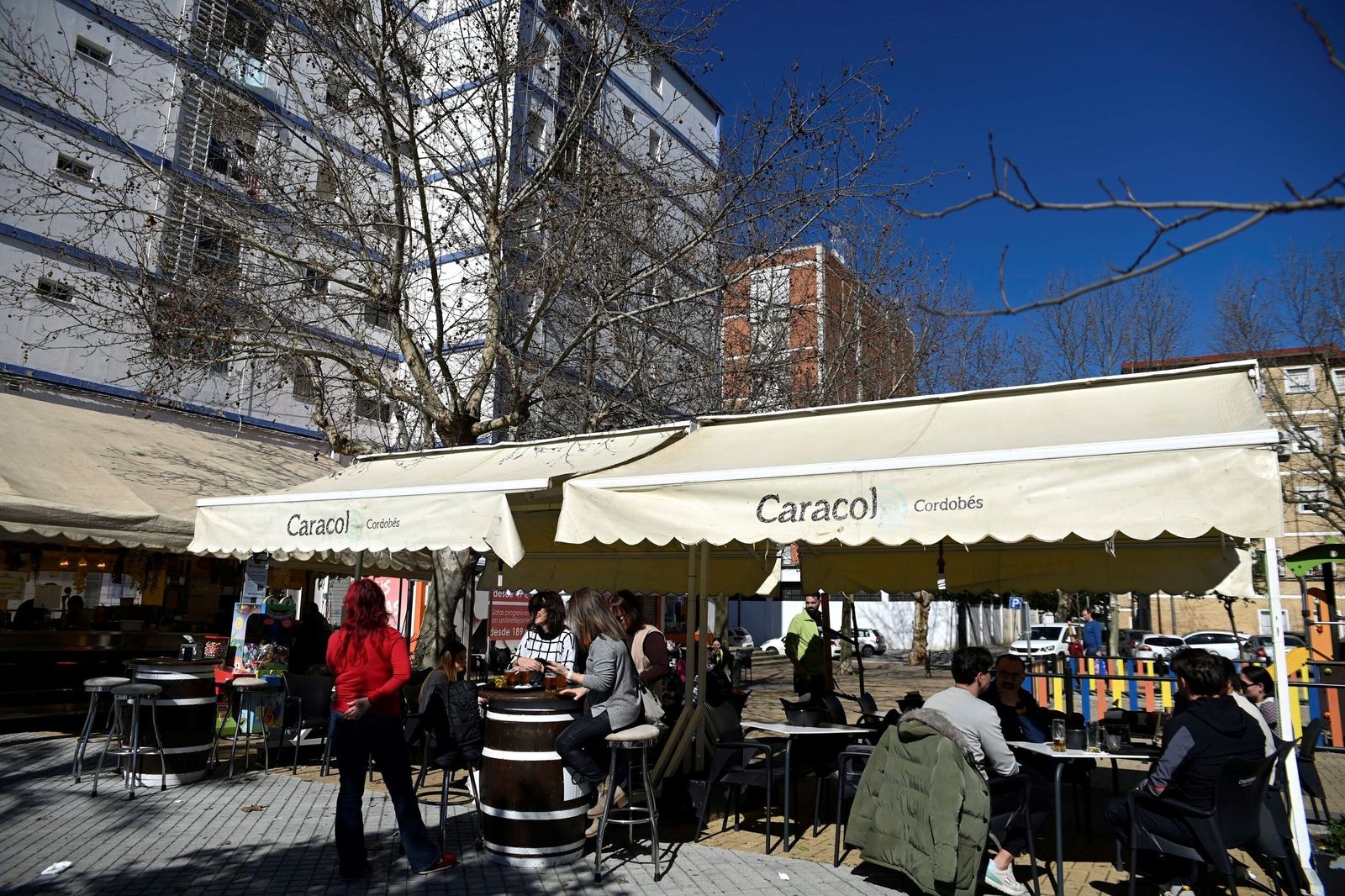 El arranque de la temporada de caracoles en Córdoba, en imágenes