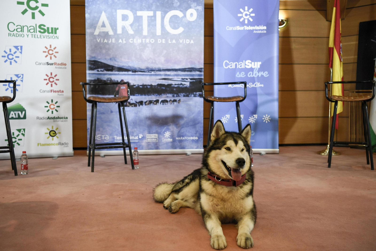 Fotos de 'Desafío Ártico' en Granada, Desafío Ártico', docuserie sobre una expedición al Polo Norte