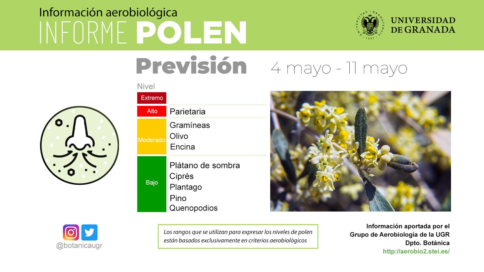 Informe Polen del Grupo de Aerobiología de la UGR.