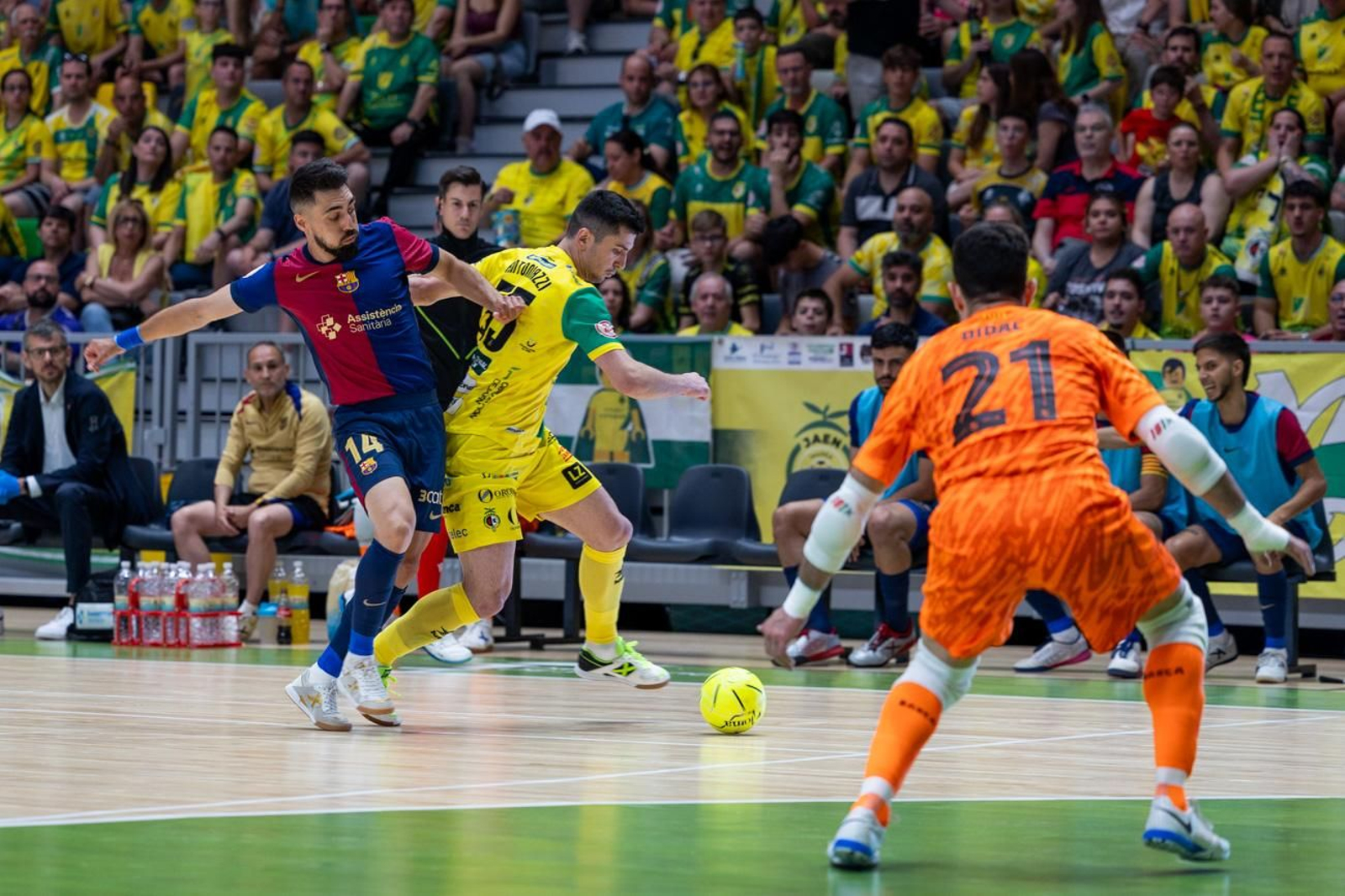 El triunfo del Barça ante el Jaén FS en el Olivo Arena