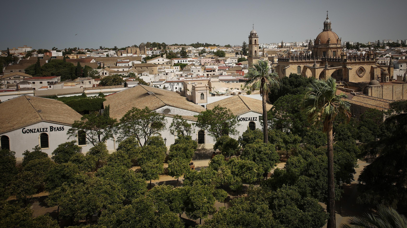 Así es por dentro y por fuera la Torre de Ponce de León en el Alcázar de Jerez