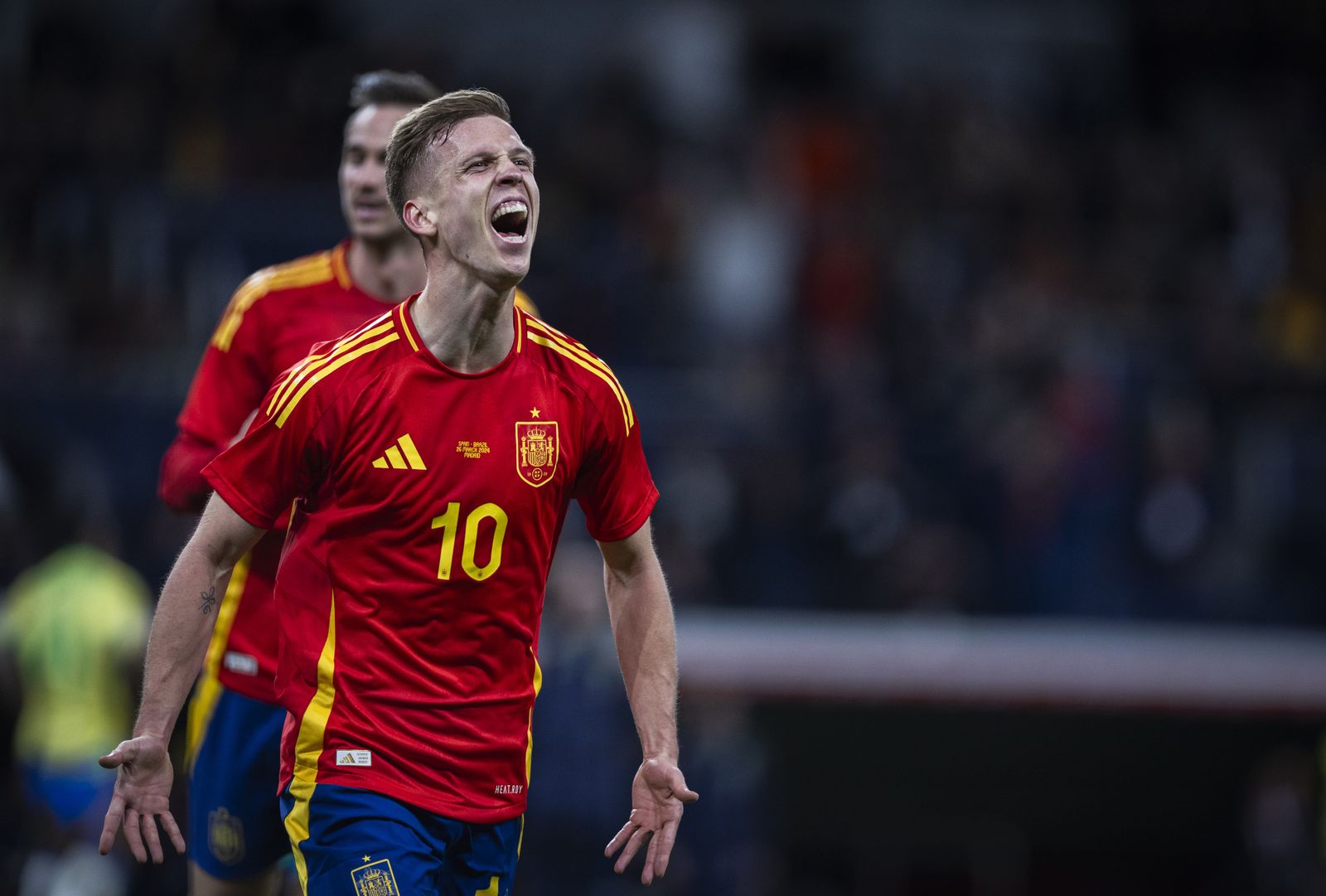 Las fotos del España - Brasil