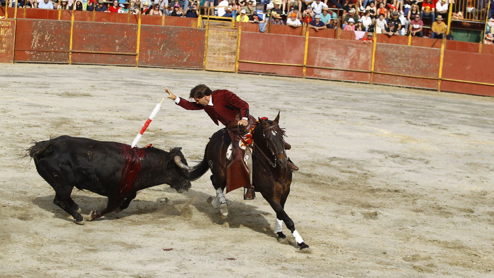 El fin de semana que viene se celebrarán dos novilladas.