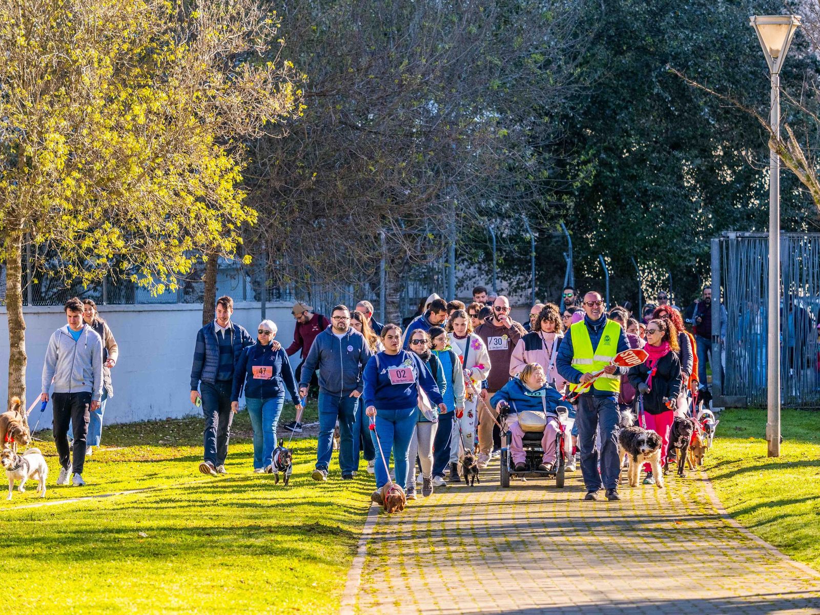 Las imágenes de San Antón 2025 en San Fernando