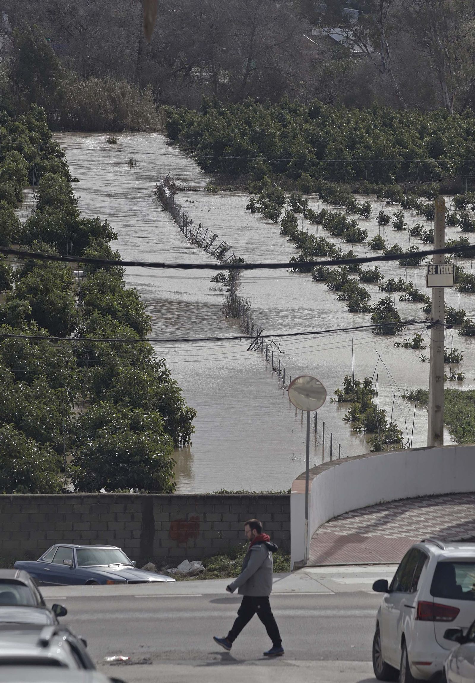 San Martín del Tesorillo después de la borrasca Marta, en imágenes