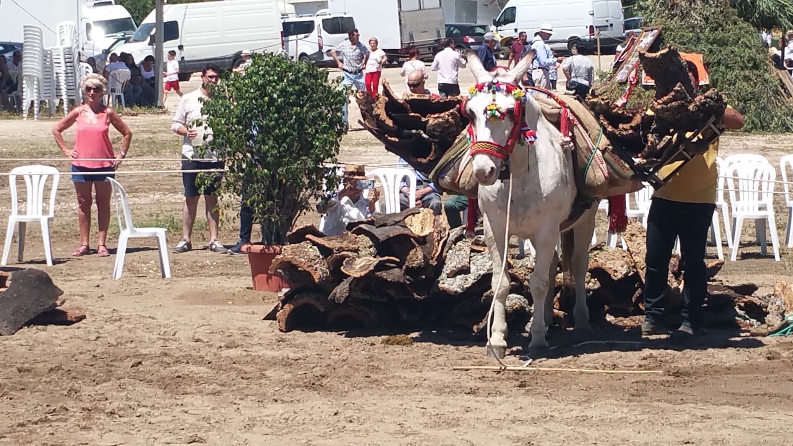 Concurso de arrieros en Jimena de la Frontera
