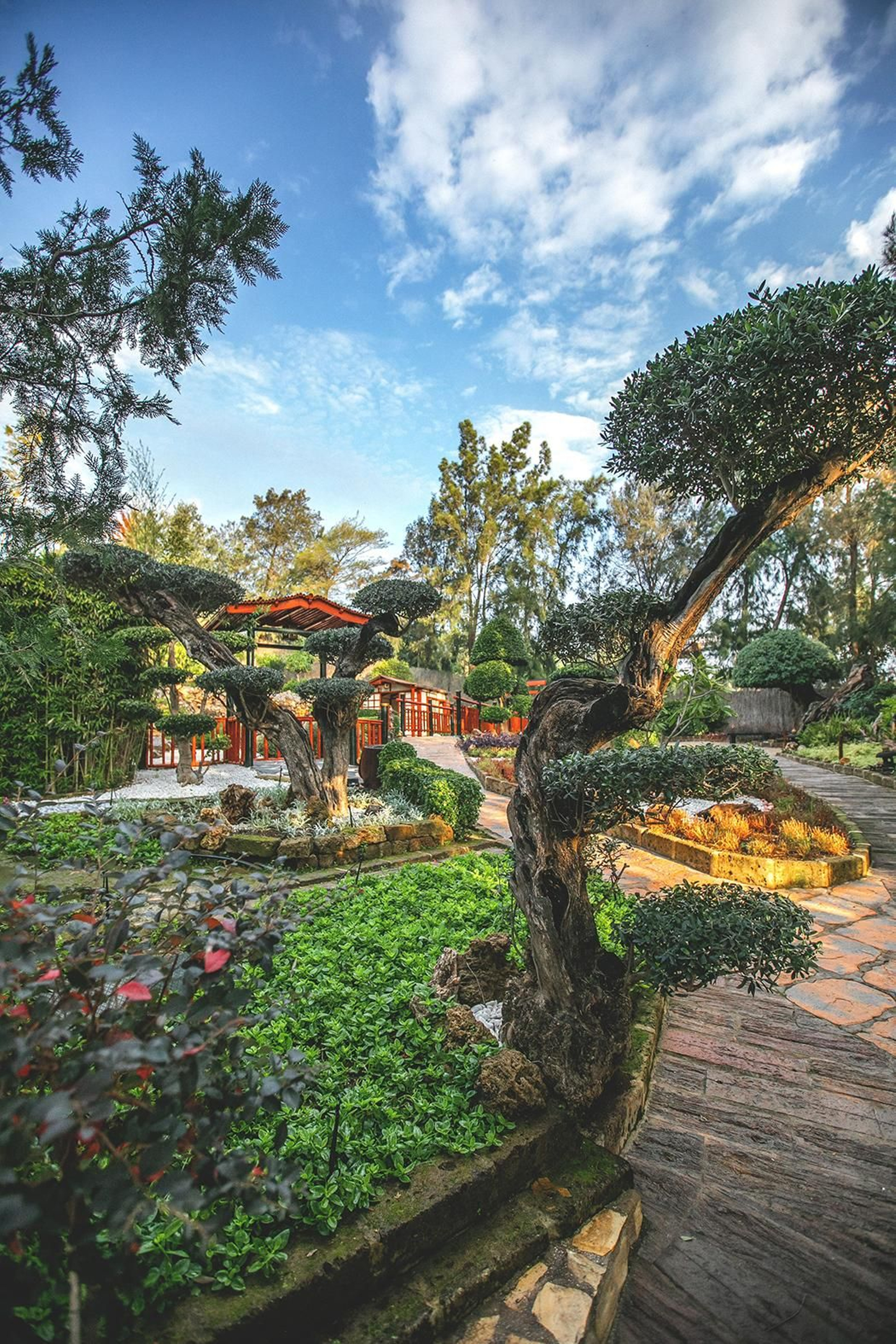 Jardín Zen en el Botánico de Inca.