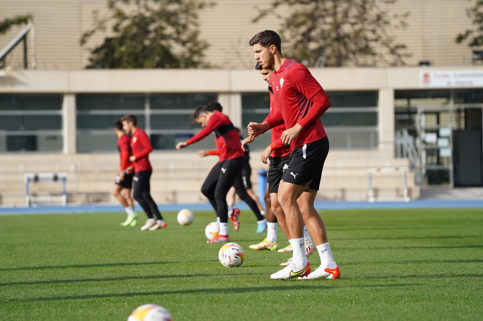 Entrenamiento en el anexo.