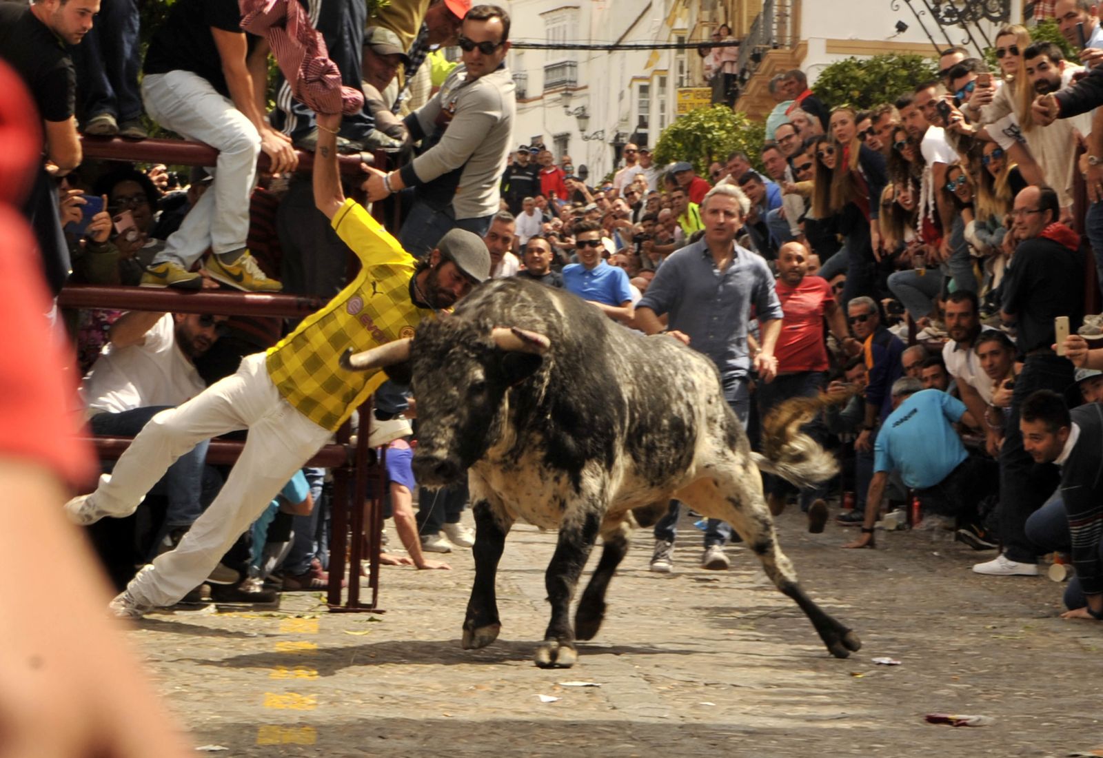 Imágenes del Toro del Aleluya en Arcos