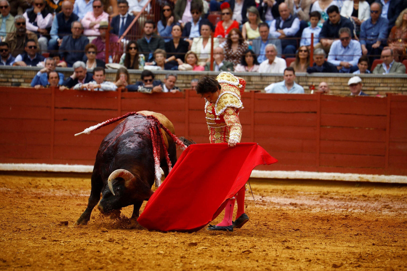 La corrida de toros matinal celebrada en el Coso de los Califas de Córdoba, en imágenes