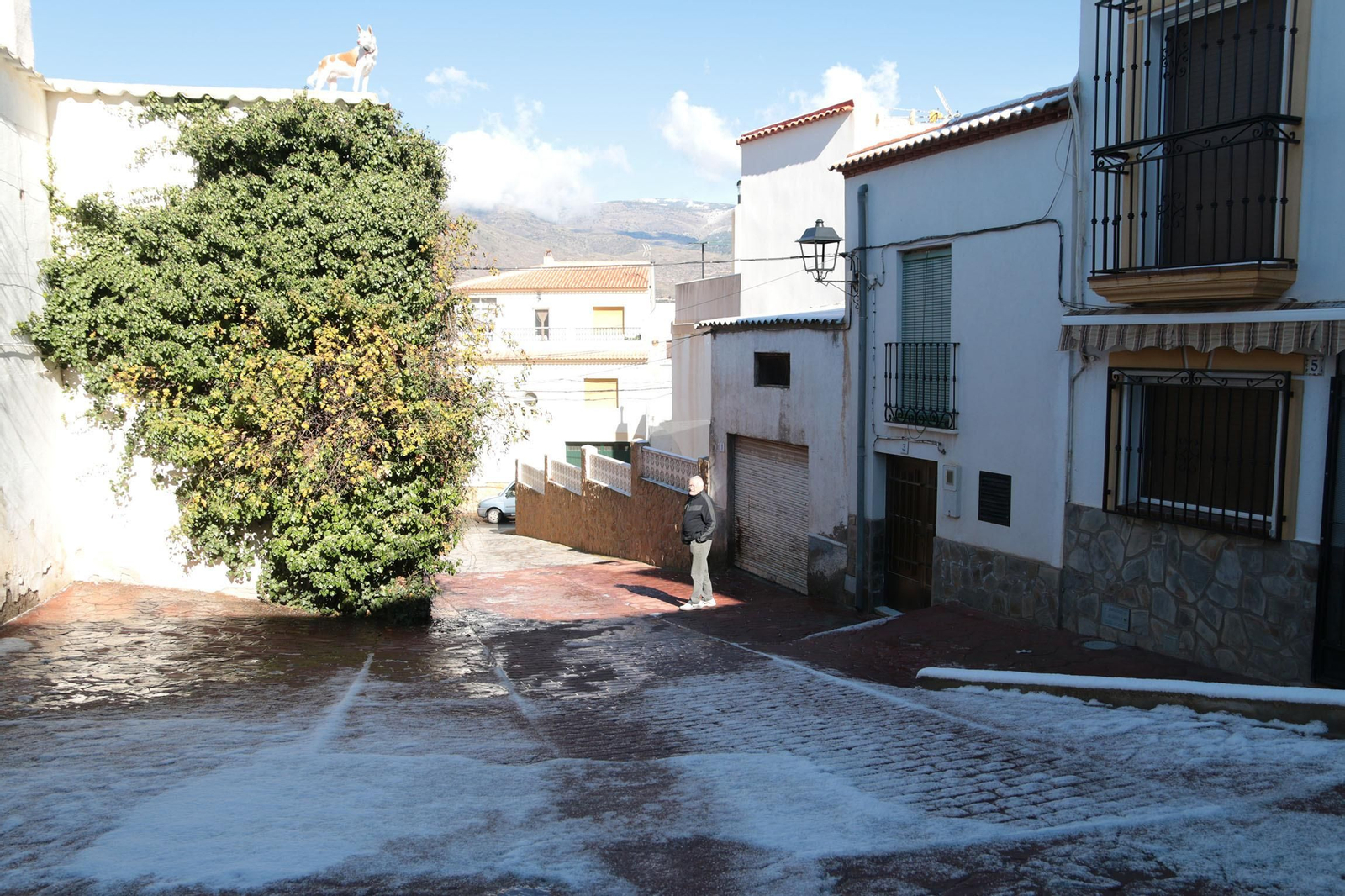 La nieve cubre de blanco la Alpujarra Almeriense