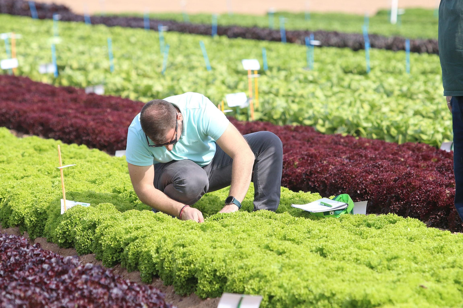 Fotogalería de las jornadas de puertas abiertas de Rijk Zwaan en Cartagena