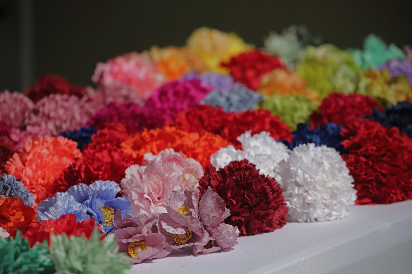 Fotos de la pasarela 'Pa enferiarte' de Los Barrios