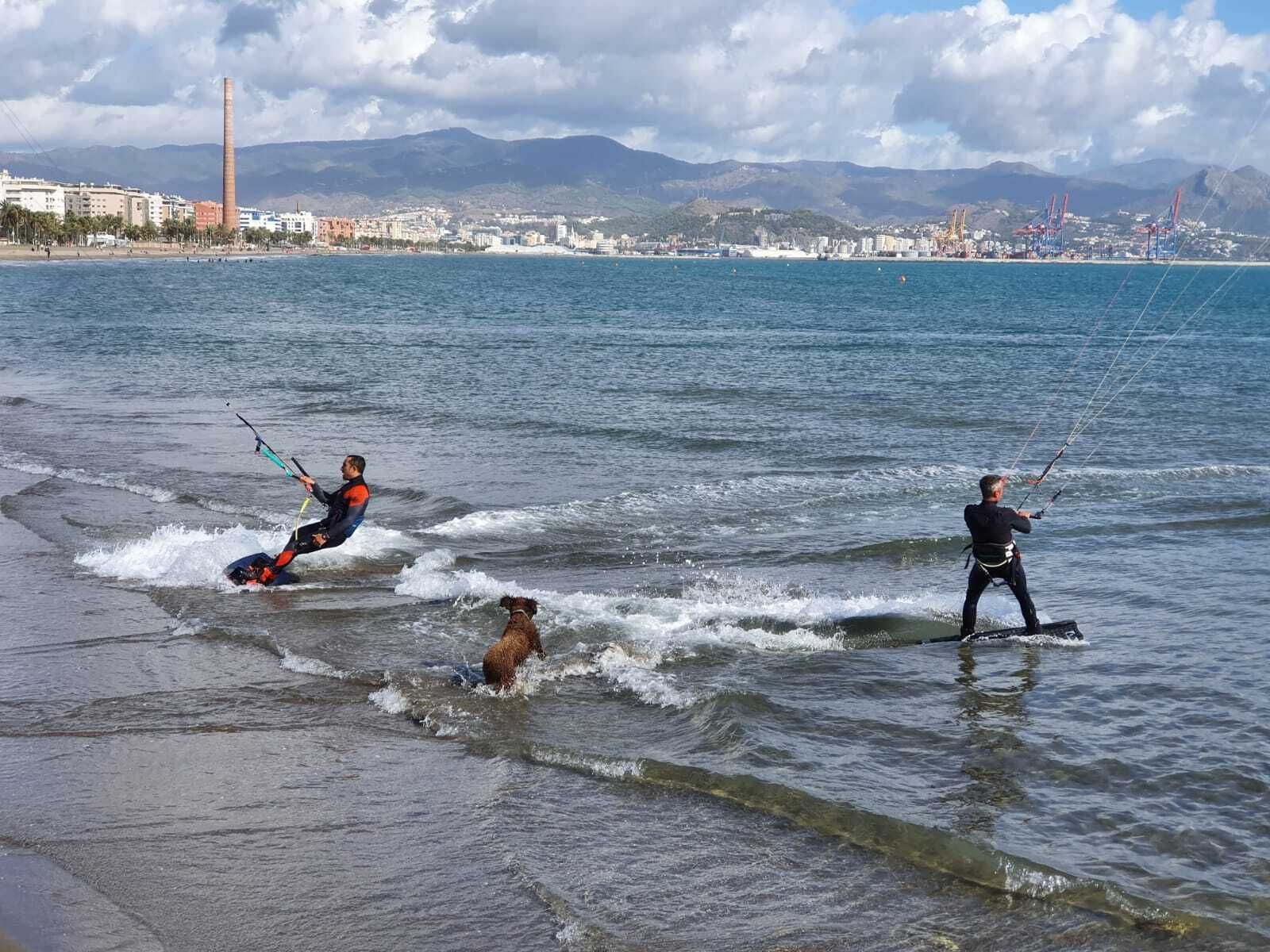 Domingo de kitesurf en la playa de Sacaba de Málaga, en fotos