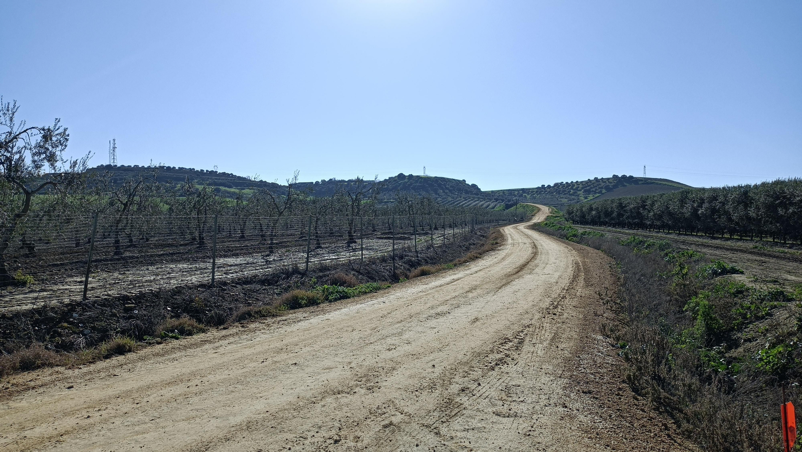 Las primeras elevaciones de la Cornisa del Aljarafe.