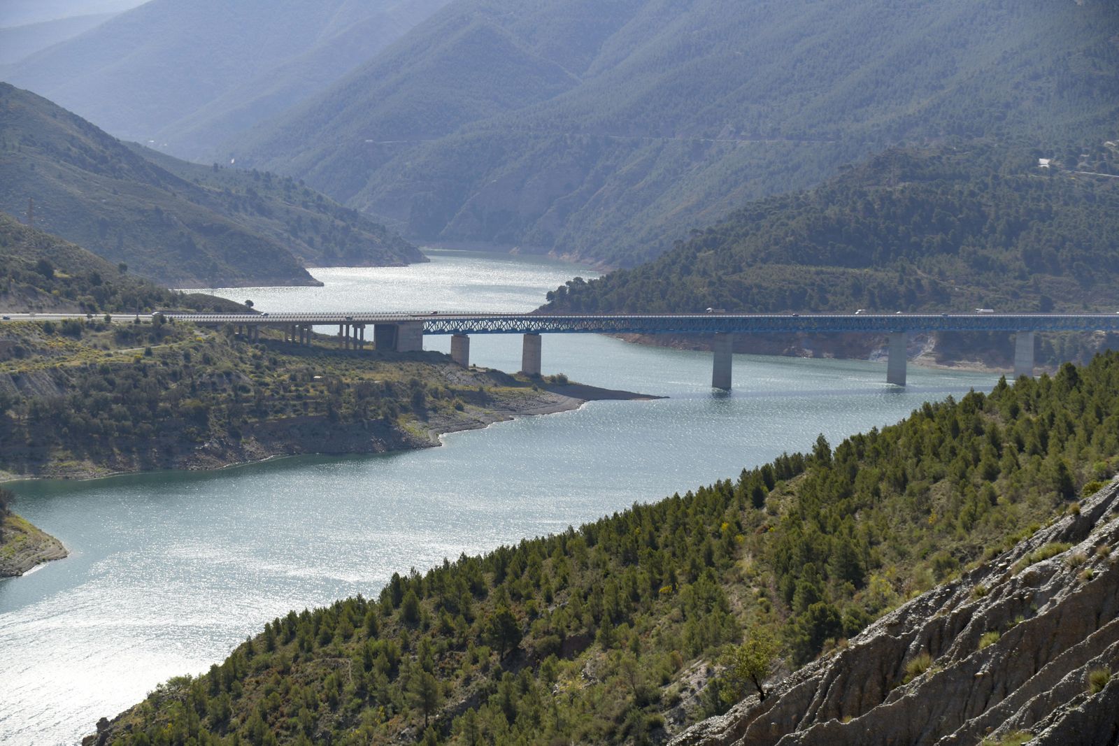 Viaducto de la A-44 sobre la presa de Rules