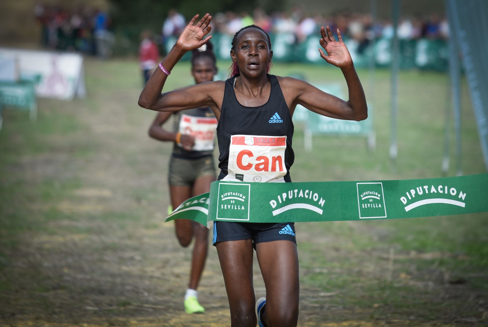 Las imágenes del Cross Internacional Itálica 2022