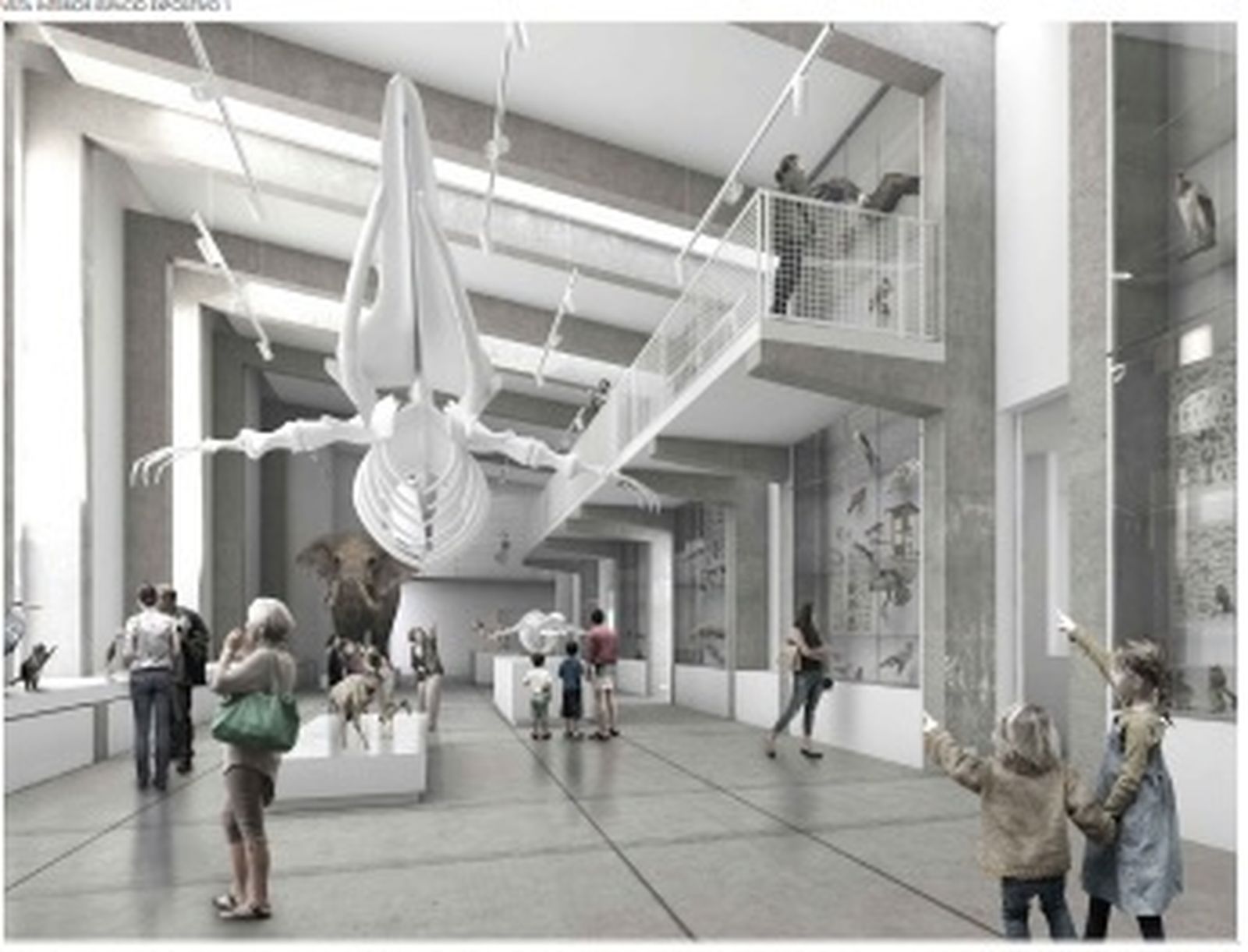 Diseño del interior del Museo de Historia Natural