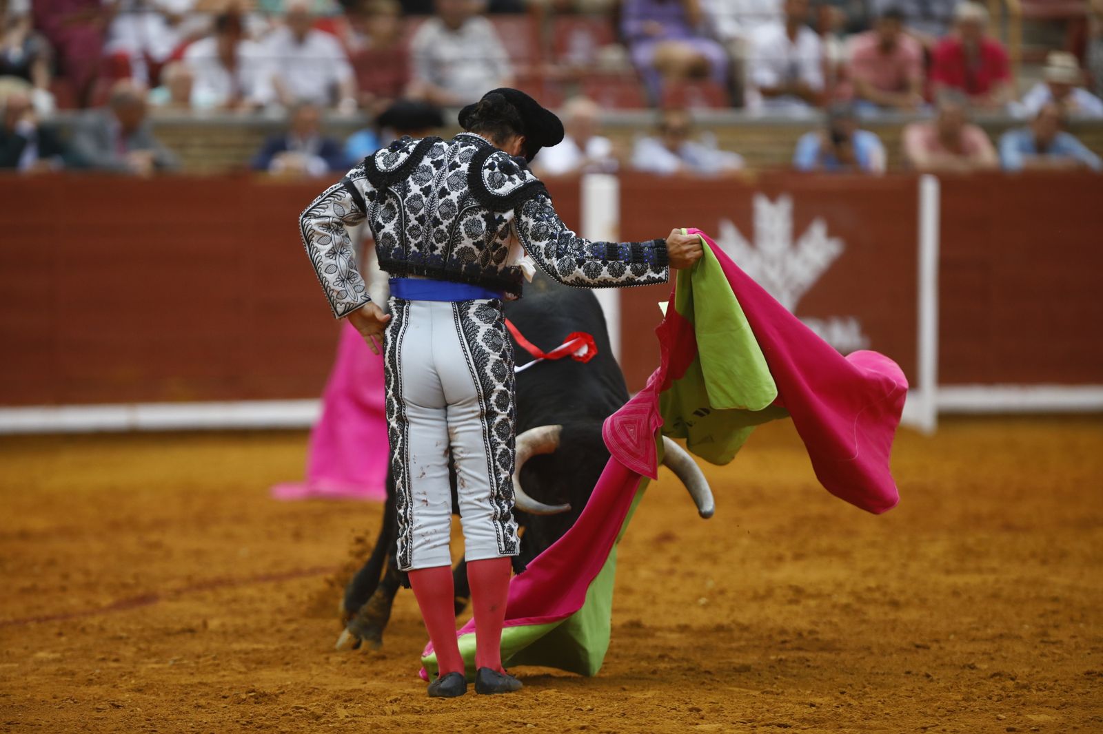 La corrida mixta de Diego Ventura, Morante de la Puebla y Pablo Aguado en Córdoba, en imágenes