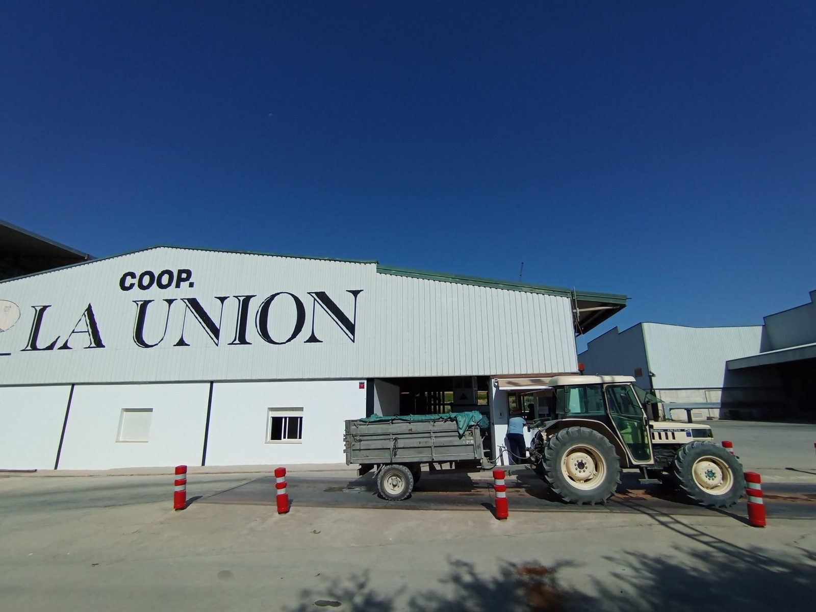 La vendimia de Montilla-Moriles