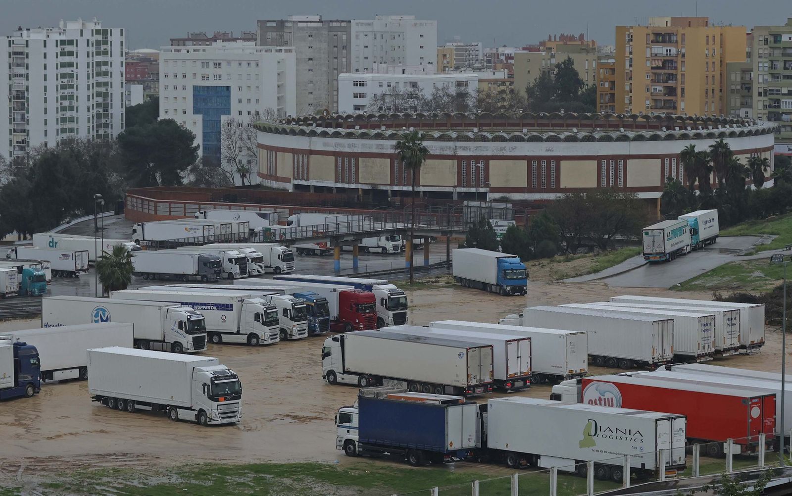 Fotos de los camiones retenidos en Algeciras