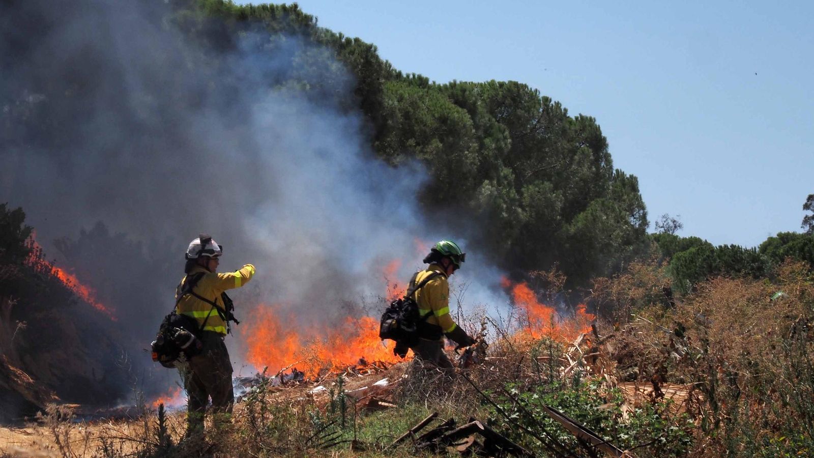 Efectivos del infoca luchan contra las llamas