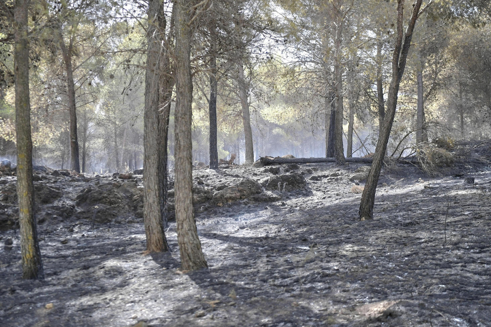 Las imágenes del incendio de Granada que causa terror en la provincia
