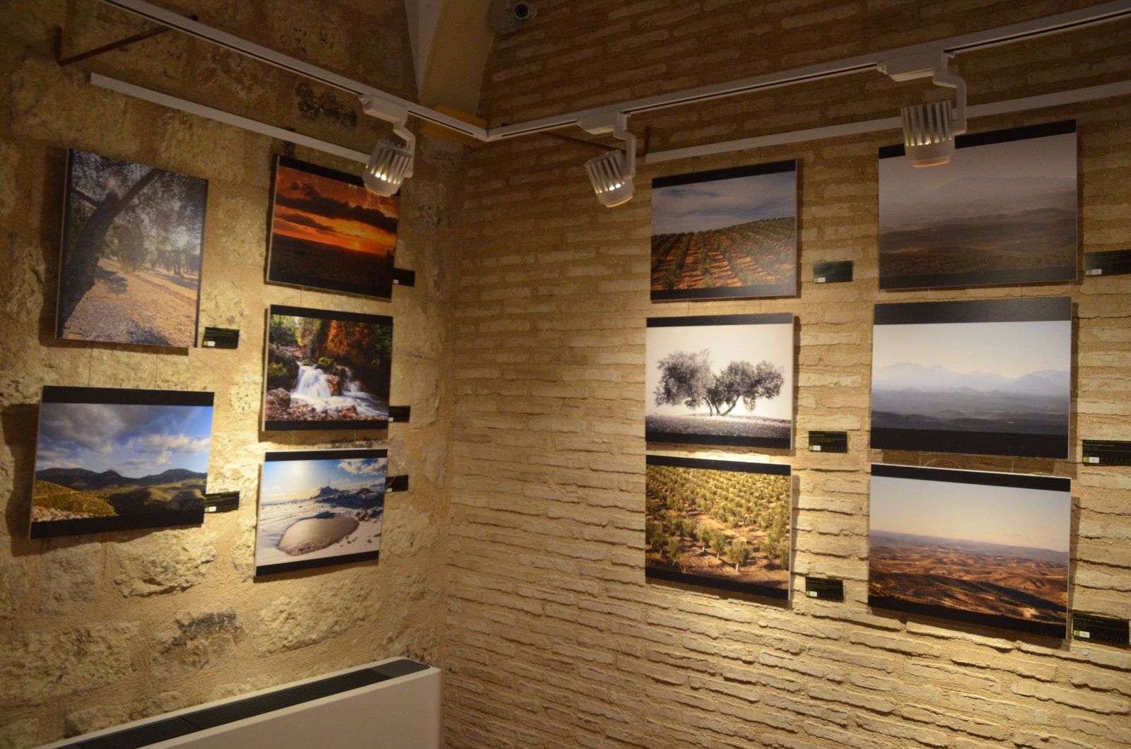 Viajar por Jaén sin moverse de la sala: la exposición ‘Paisajes’ que invita a caminar el territorio, en imágenes