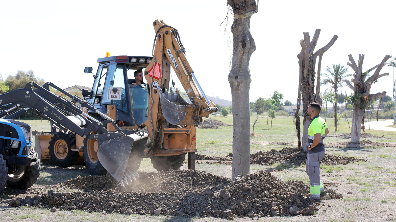 Traslado de los árboles de Chapín