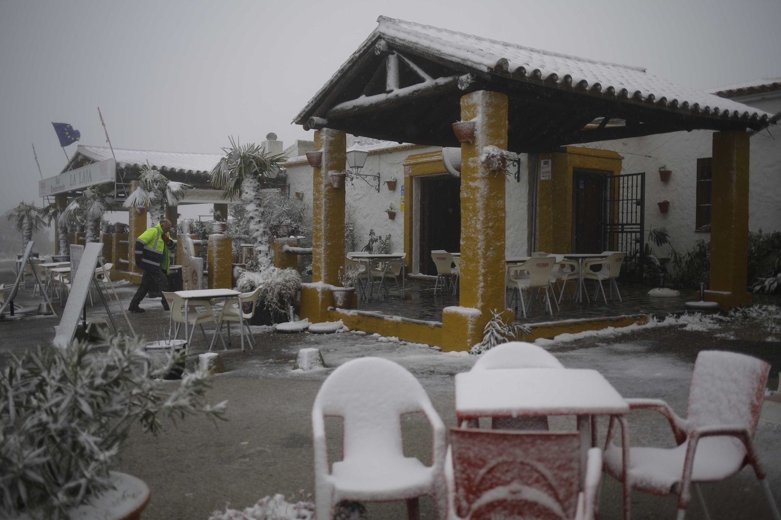 La nevada en el interior de Málaga, en imágenes