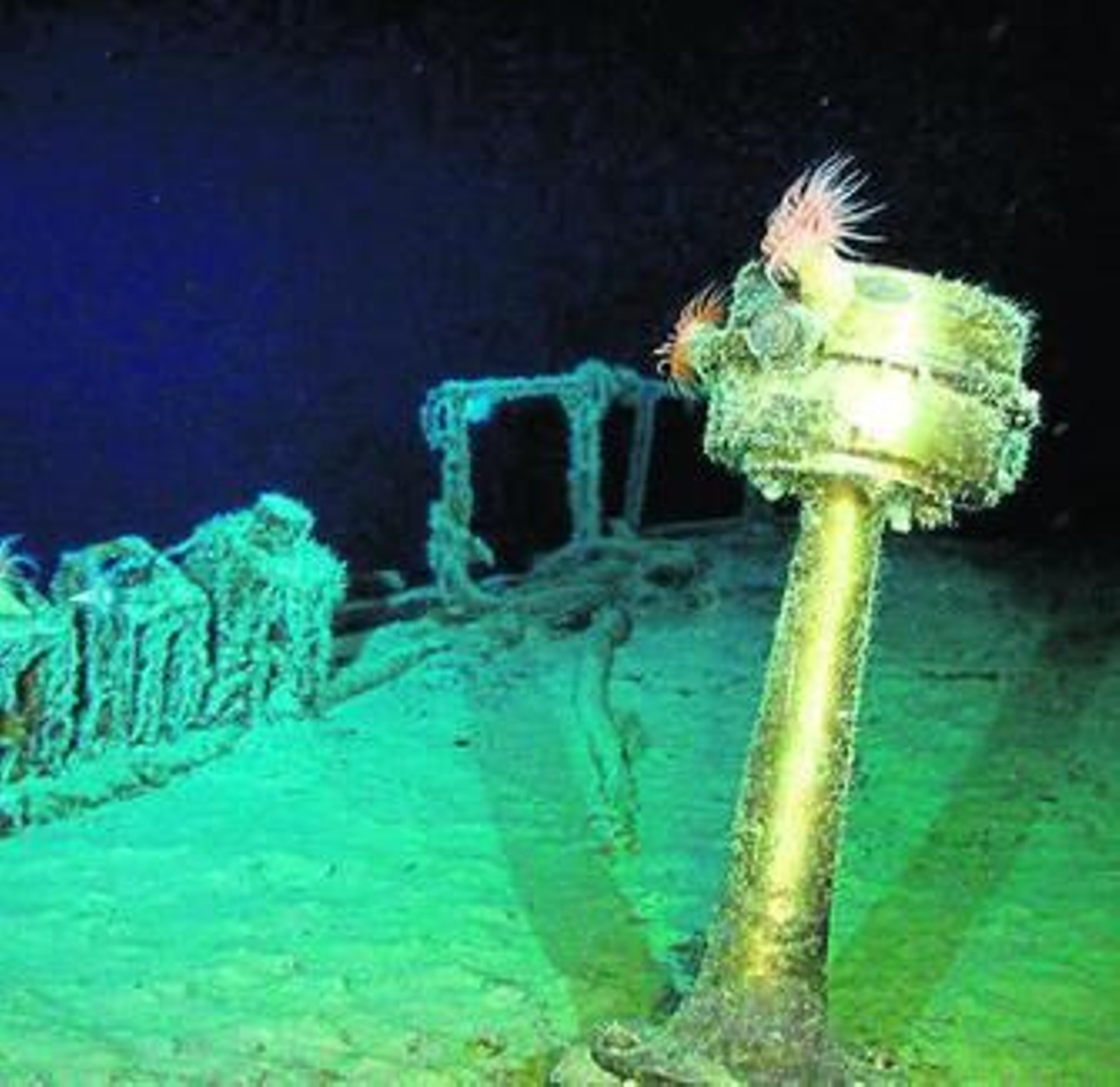 Imagen submarina del hallazgo de Odyssey.