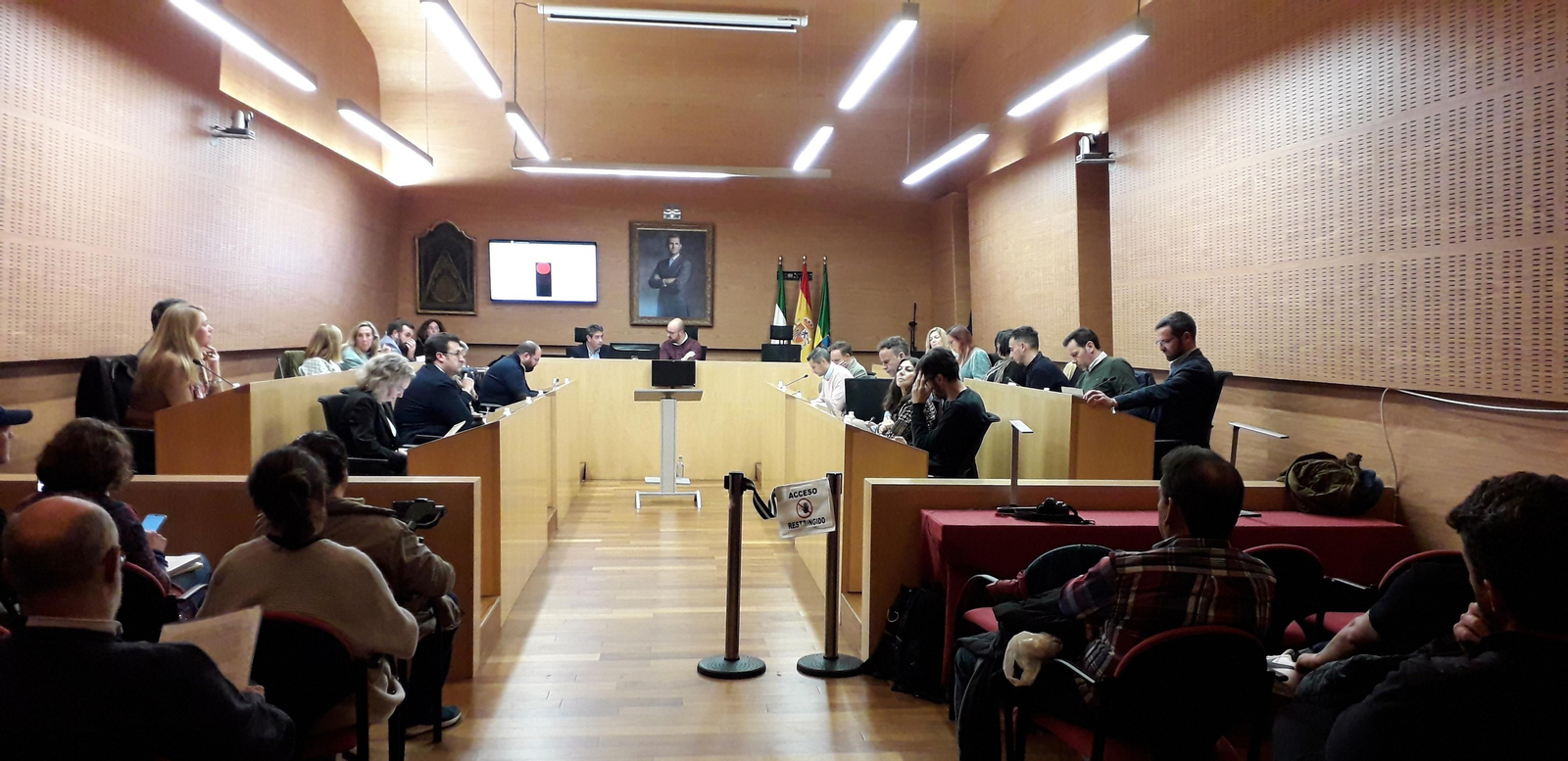 Una imagen del pleno celebrado en la tarde-noche del miércoles.