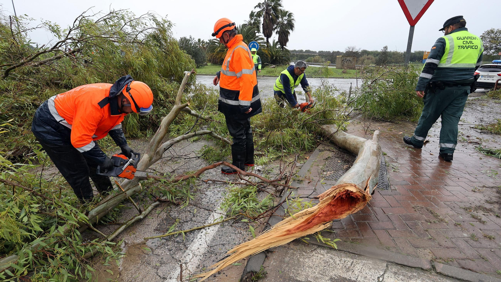 Imágenes del temporal de viento y lluvia en Jerez