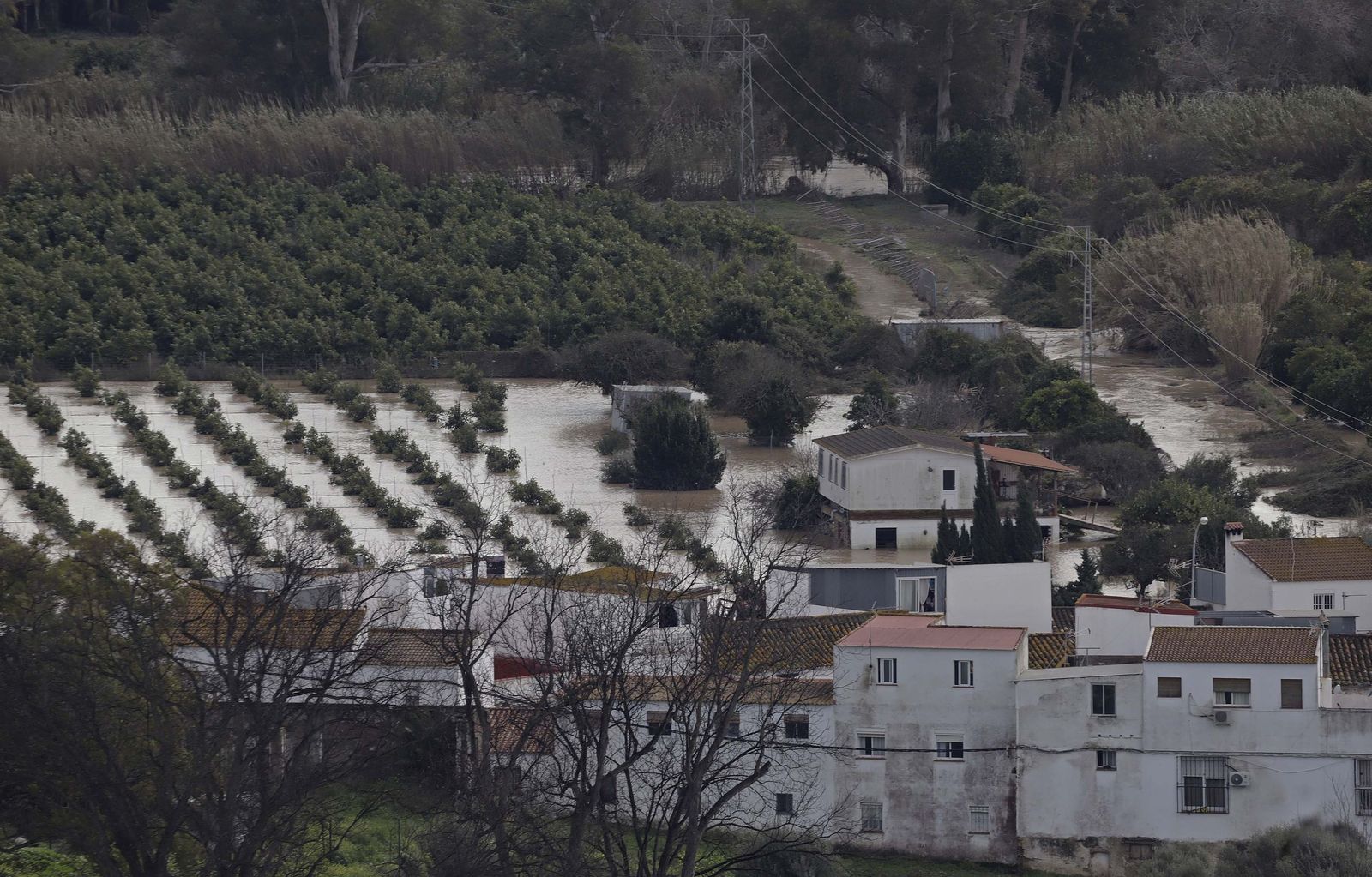 San Martín del Tesorillo después de la borrasca Marta, en imágenes